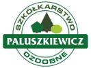 New Classic - strona główna